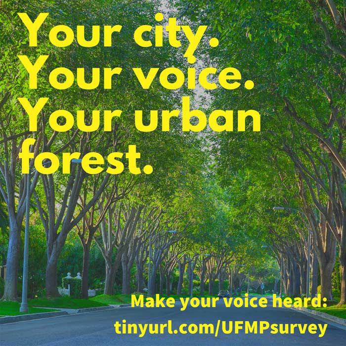 Your city. Your voice. Your urban forest. Tree survey
