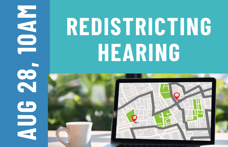 redistricting hearing