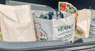 food drive bags