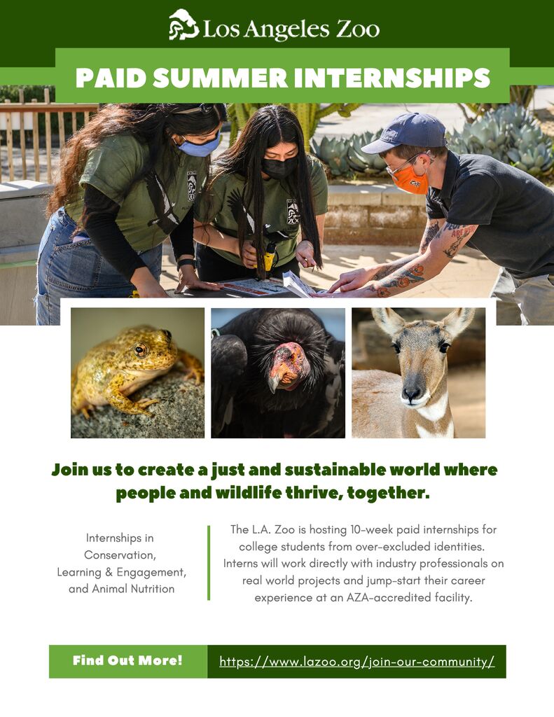 thumbnail of L.A. Zoo Internship Flyer Summer 2022