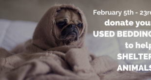 Donate used bedding for shelter animals