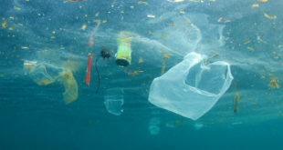 Plastic in ocean