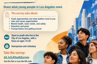 LA Youth Survey